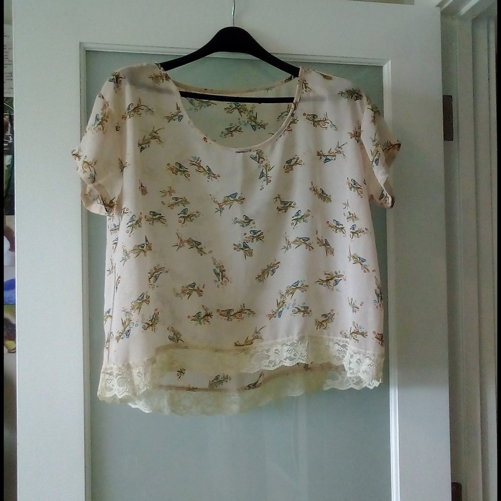 Sheer top with little birds